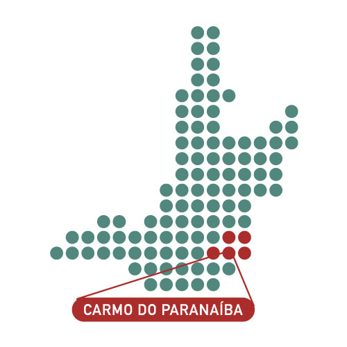 mapa_cerrado_mineiro_fazenda_sao_luiz_2